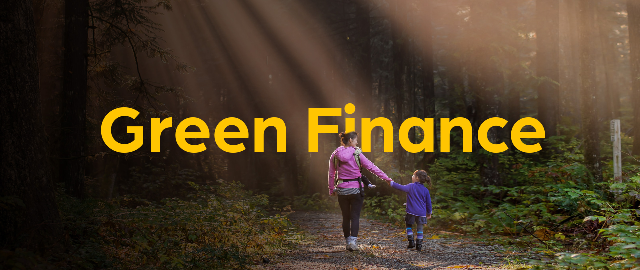 A parent and child walking together through a sunlit forest
